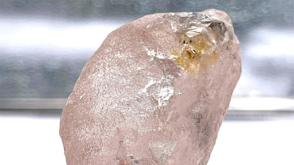 D&eacute;couverte en Angola d'un diamant rose consid&eacute;r&eacute; comme le plus gros en 300 ans