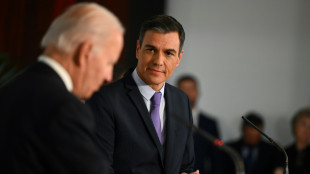 Pedro S&aacute;nchez refuerza su imagen internacional en la Casa Blanca