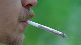 Studie: Junge Menschen konsumieren deutlich mehr Cannabis als vor zehn Jahren