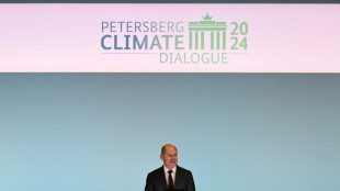 Scholz dringt auf breitere Basis für internationale Klimafinanzierung