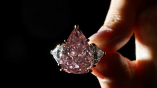 Un diamant rose g&eacute;ant mis aux ench&egrave;res &agrave; Gen&egrave;ve
