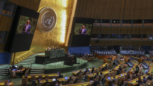 Assemblea Generale appoggia la Palestina ma senza Hamas