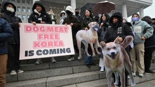 El Parlamento de Corea del Sur proh&iacute;be el comercio de la carne de perro