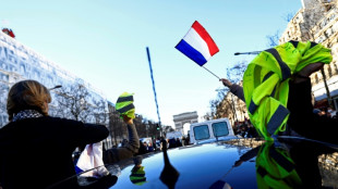 Protestkonvois blockieren Straßen in Frankreich, Kanada und den Niederlanden