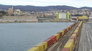 Fedriga, con 200milioni su molo VIII pi&ugrave; strategicit&agrave; in Fvg