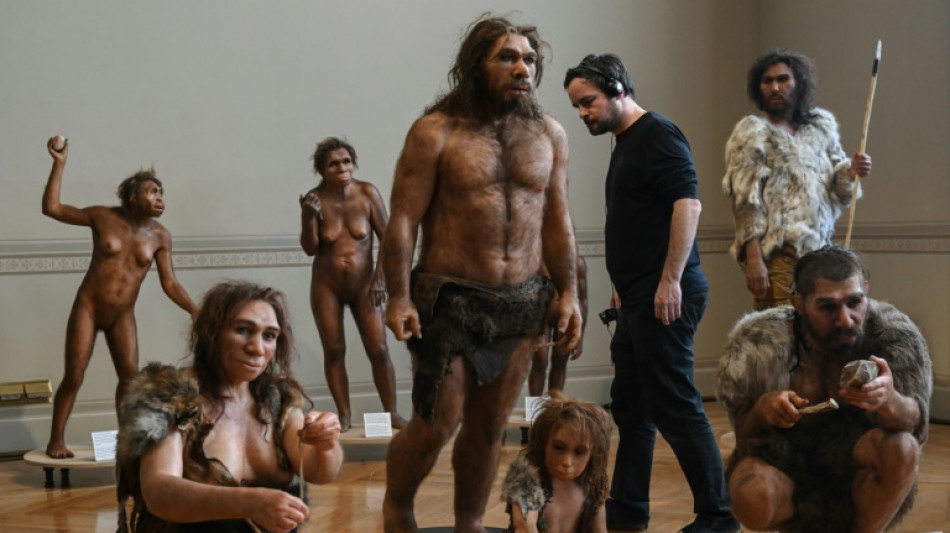 Human ancestor Lucy gets first European showing in Prague