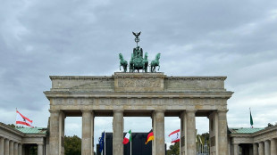 Cresce rapporto debito/pil della Germania: nel 2024 &egrave; al 49,5%