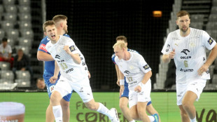 CL-Fehlstart f&uuml;r Magdeburg - Kiel souver&auml;n