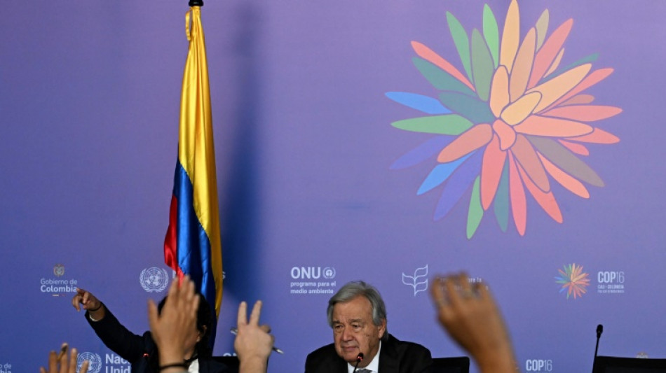 Se estancan las negociaciones en la recta final de la COP16 sin acuerdos en financiaci&oacute;n