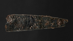 La première trace d'écriture au Danemark retrouvée sur un couteau