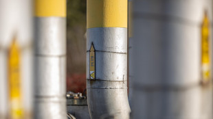 Il gas apre in calo a 35,55 a euro sulla piazza Ttf di Amsterdam