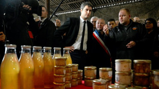 Les agriculteurs reprennent leurs actions en attendant Attal et Macron