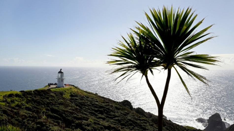 Nouvelle-Z&eacute;lande: la mer se r&eacute;chauffe plus rapidement que la moyenne mondiale, selon une &eacute;tude
