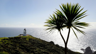 Nouvelle-Zélande: la mer se réchauffe plus rapidement que la moyenne mondiale, selon une étude