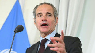 Berlin, Paris und London verurteilen "Drohungen" gegen IAEA-Chef