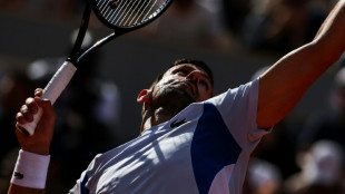 Roland-Garros: Djokovic en soirée contre Herbert