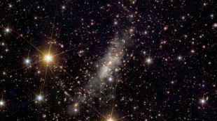 Le télescope Euclid dévoile une nouvelle moisson d'images du cosmos