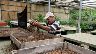 Costa Rica guarda un tesoro de semillas ante crisis clim&aacute;ticas o alimentarias