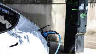 France suspends subsidised electric car scheme after surge