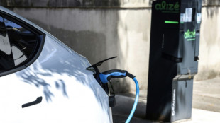 Voitures &eacute;lectriques: le "leasing social" affiche complet pour 2024, nouveau dispositif en 2025