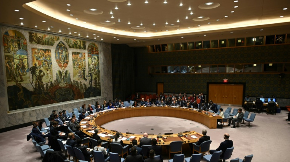Westliche Länder im UN-Sicherheitsrat beantragen Dringlichkeitssitzung für Donnerstag