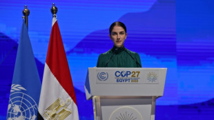 Activistas, entre ellos Greta Thunberg, siguen adelante con una demanda climática contra Suecia