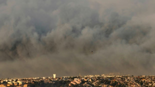 Toque de queda en Valpara&iacute;so y Vi&ntilde;a del Mar por "incendios sin precedentes" en Chile