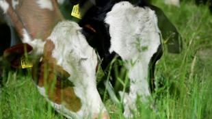 EU-Rechnungshof sieht schwere Fehler bei F&ouml;rdergeld-Vergabe f&uuml;r Bio-Landwirte