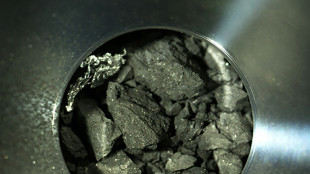 Des &eacute;l&eacute;ments essentiels &agrave; la vie trouv&eacute;s sur un ast&eacute;ro&iuml;de, selon une &eacute;tude japonaise