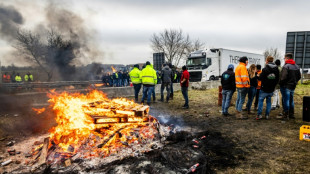 Agricultores neerlandeses bloquean carreteras en una protesta