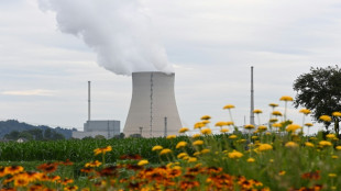 Scholz sieht Einw&auml;nde gegen Weiternutzung von Atomkraft nicht entkr&auml;ftet