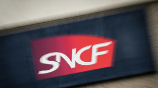 La SNCF s'apprête à présenter un bénéfice en recul par rapport à 2022
