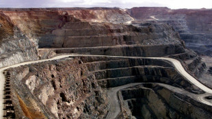 Gold falls again as rally comes to halt, Asian markets drop