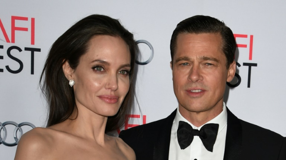 Pitt sues Jolie over sale of French vineyard where they married