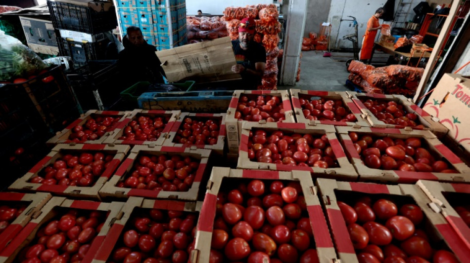 EEUU impondr&aacute; casi un 21% de aranceles a la mayor&iacute;a de los tomates mexicanos