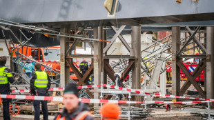 Two dead, two hurt, in Dutch bridge collapse: officials