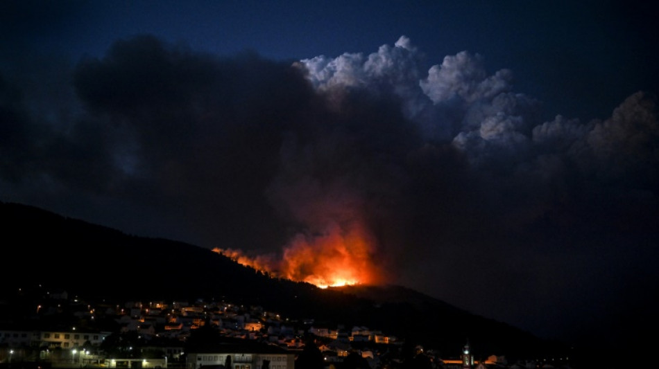 Portugal: 10.000 hectares partis en fumée dans une région protégée