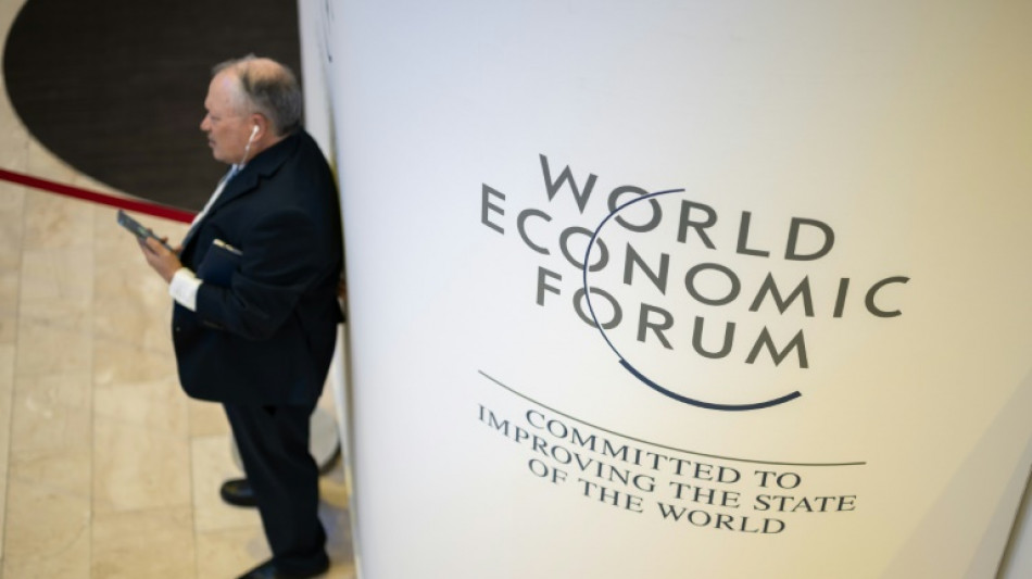 Elite Davos forum 'sitting target' of conspiracy theorists