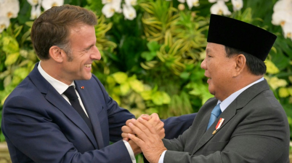 France, Indonesia call for Israeli-Palestinian progress as Macron visits