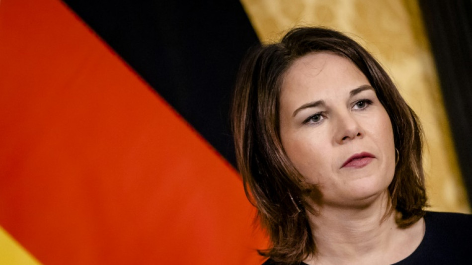 German foreign minister backs special Ukraine tribunal