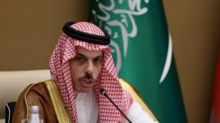 Arab ministers condemn Israel 'ban' on planned West Bank visit