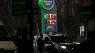 "On va se priver de vacances": quand le litre de carburant d&eacute;passe 2 euros en Europe