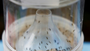 Chikungunya: recul du nombre de cas importés de la Réunion