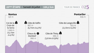 La 20e &eacute;tape du Tour de France: le jour des "survivants"
