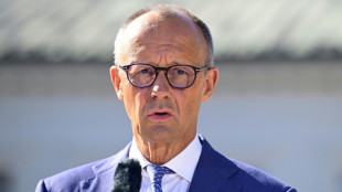 Allemagne : face aux critiques, Merz r&eacute;affirme vouloir lutter contre le changement climatique