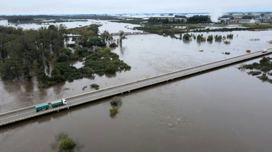 Uruguai decreta emerg&ecirc;ncia agropecu&aacute;ria no leste por excesso h&iacute;drico