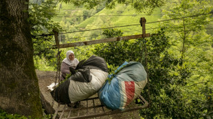 Dans les montagnes à thé de Turquie, les téléphériques de la peur