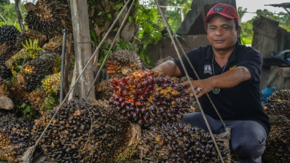 Indonesia suspende todas las exportaciones de aceite de palma