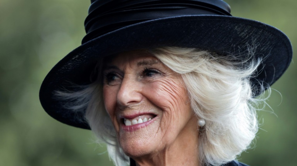 Camilla wins praise for first week in Queen Consort role