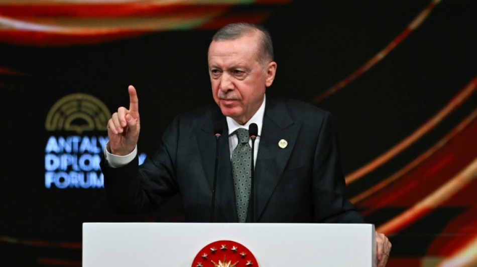 Erdogan says efforts to end Ukraine war at 'turning point'